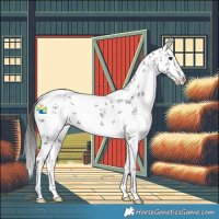 Horse Color:White Spotted Smoky Black Sabino 