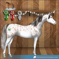 Horse Color:Bay Splash Near Leopard 