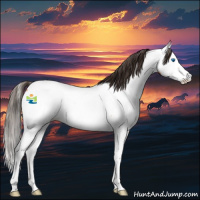 Horse Color:Bay Sabino Splash Near Fewspot