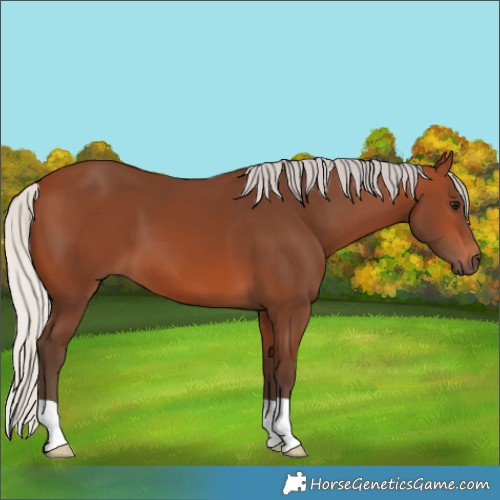 Horse Color:Silver Brown 
