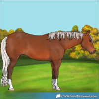 Horse Color:Silver Brown 