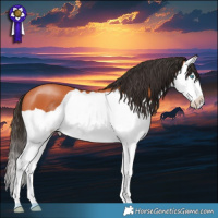 Horse Color:Bay Splash 