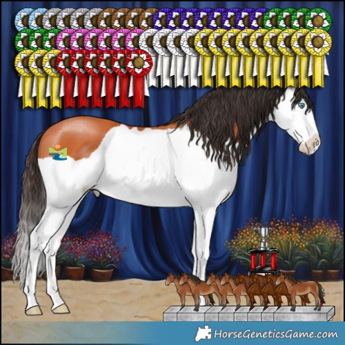 Horse Color:Bay Splash 