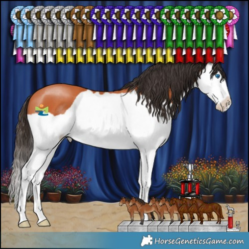 Horse Color:Bay Splash 