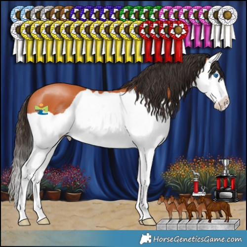 Horse Color:Bay Splash 