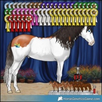 Horse Color:Bay Splash