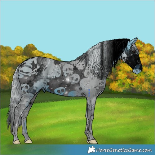 Horse Color:ERROR: UNKNOWN ANOMALY