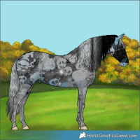 Horse Color:ERROR: UNKNOWN ANOMALY