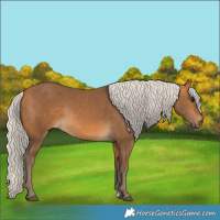 Horse Color:Silver Buckskin Rabicano 