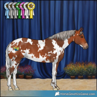 Horse Color:White Spotted Silver Bay 