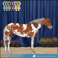 Horse Color:White Spotted Silver Bay 