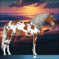 Horse Color:White Spotted Silver Brown