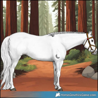 Horse Color:Gray Black Pearl Varnish 