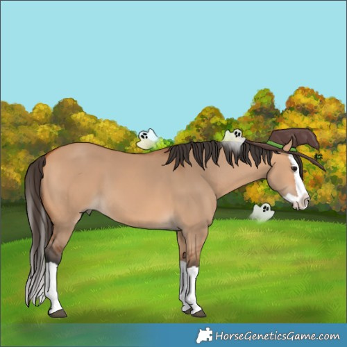 Horse Color:Bay Dun Splash 