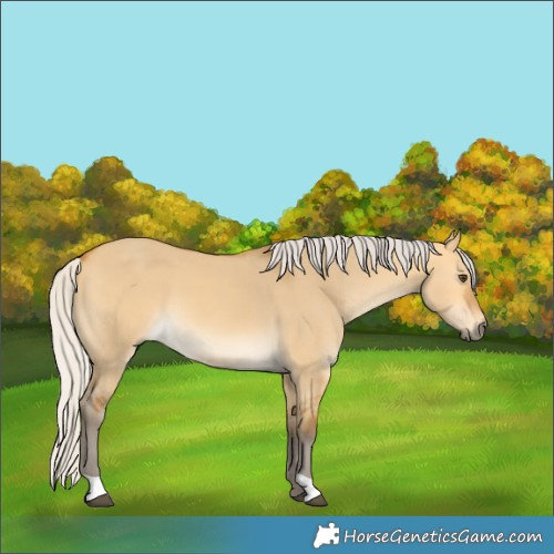 Horse Color:Silver Buckskin Dun 