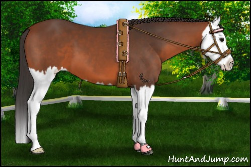 Horse Color:Bay Splash 