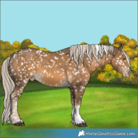 Horse Color:Chocolate Palomino Tobiano Snowflake Varnish 
