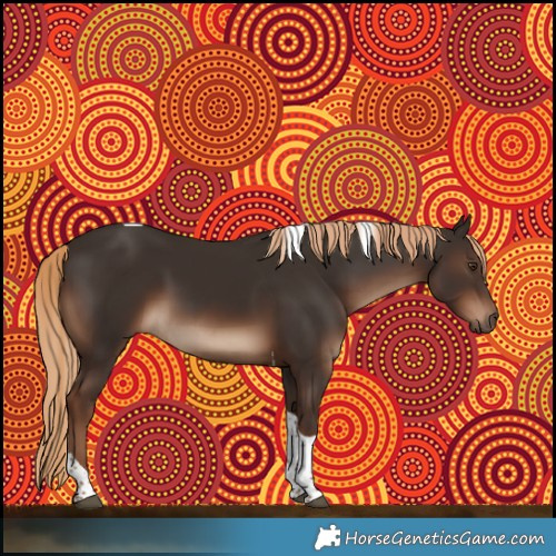 Horse Color:Liver Chestnut Tobiano 