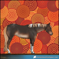 Horse Color:Liver Chestnut Tobiano 