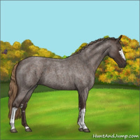 Horse Color:White Spotted Liver Red Roan