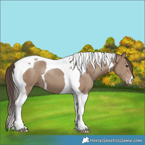 Horse Color:Classic Champagne Tobiano 