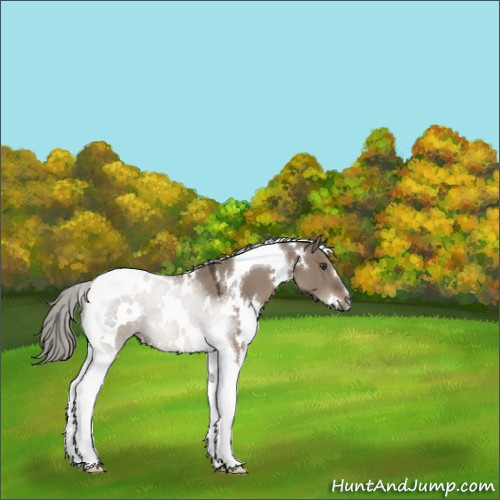 Horse Color:White Spotted Liver Red Dun Mushroom Tobiano 