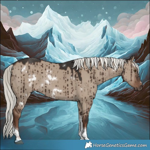 Horse Color:White Spotted Liver Red Dun Mushroom Tobiano Brindle 