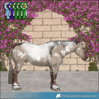 Horse Color:White Spotted Liver Red Dun Mushroom