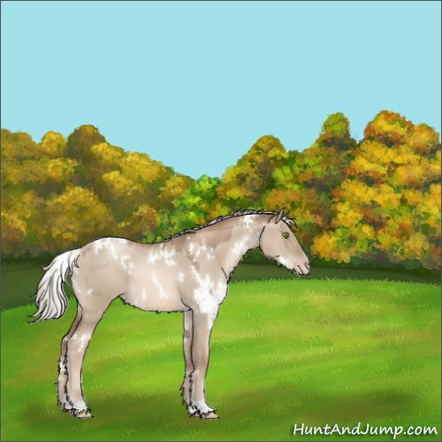 Horse Color:White Spotted Liver Red Dun Pearl Mushroom 