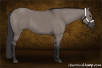 Horse Color:Smoky Grullo 