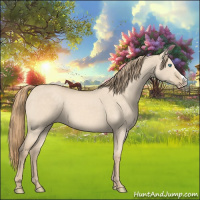 Horse Color:Perlino Dun 
