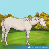 Horse Color:Smoky Creme 