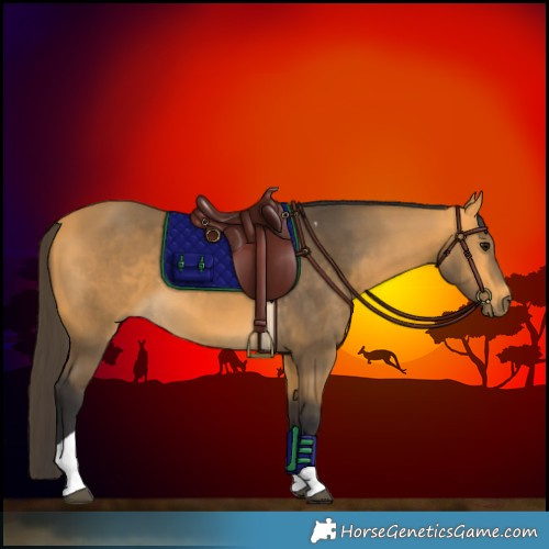 Horse Color:Buckskin Tobiano 