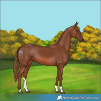 Horse Color:Chestnut Tobiano 