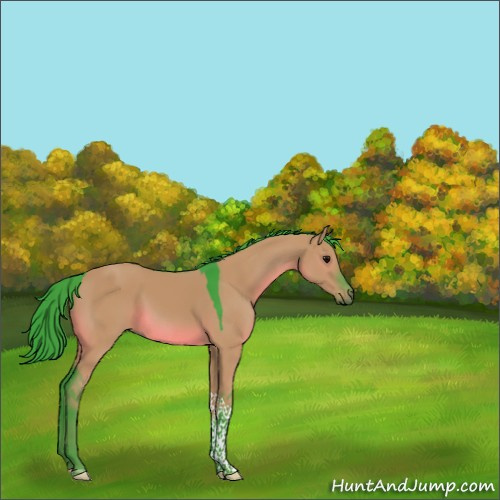 Horse Color:Watercolor Grullo Tobiano Rabicano 