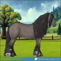 Horse Color:Grullo  and Smoky Grullo 