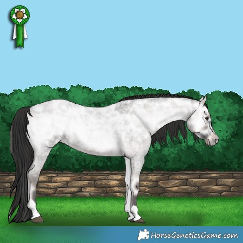 Horse Color:Platinum Liver Red Onyx Ice Roan Tobiano Rabicano 
