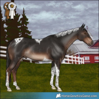 Horse Color:Liver Chestnut Tobiano Rabicano