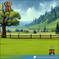 Horse Color:Brown Dun