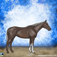 Horse Color:Silver Black 