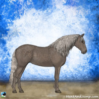 Horse Color:Silver Black 