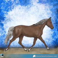 Horse Color:Silver Black 