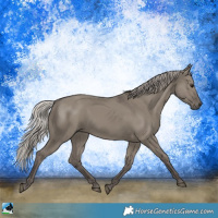 Horse Color:Silver Grullo 