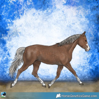 Horse Color:Silver Black 