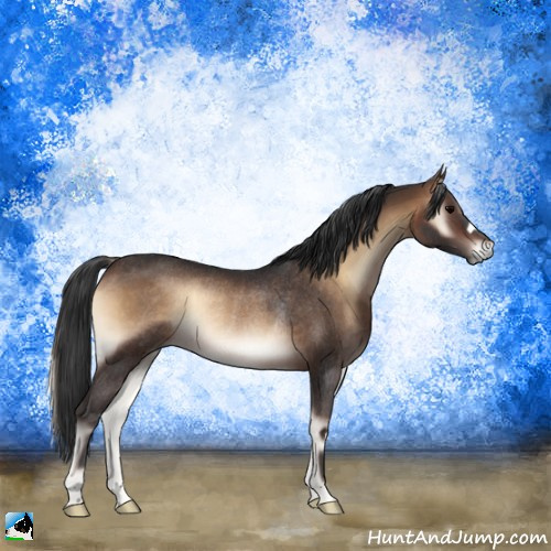 Horse Color:Brown Onyx Rabicano 