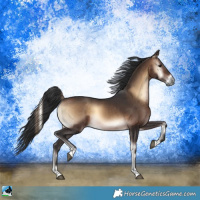Horse Color:Brown Onyx
