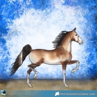 Horse Color:Brown Onyx 