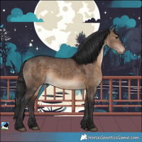 Horse Color:Brown Dun 