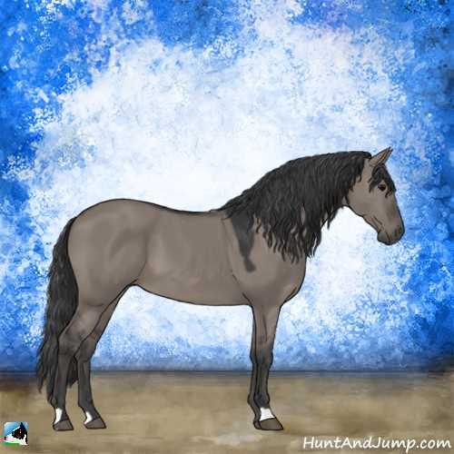 Horse Color:Grullo 