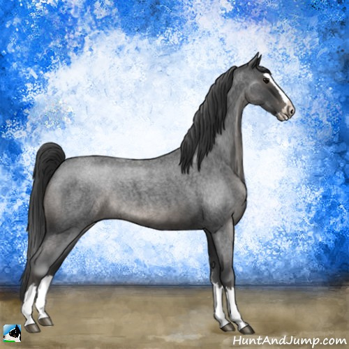 Horse Color:Blue Roan Splash Rabicano 